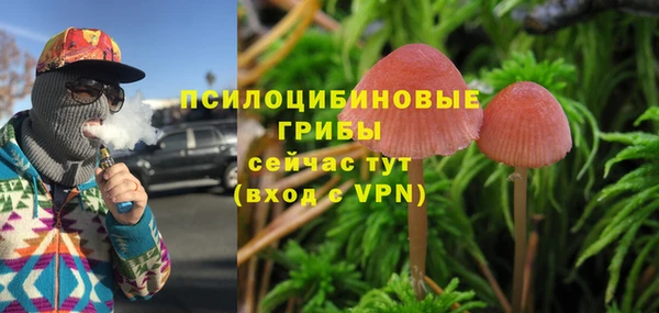 spice Арсеньев